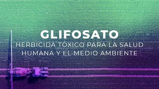 Glifosato herbicida tóxico para la salud humana y el medio ambiente [upl. by Novrej202]