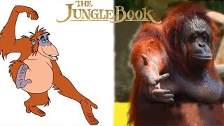 Jungle Book Characters In Real Life  The Jungle Book Characters [upl. by Yeca]