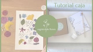 Tutorial Caja Registro de Flores [upl. by Ritch539]