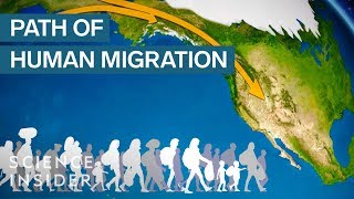 Map Shows How Humans Migrated Across The Globe [upl. by Ivor493]