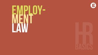 HR Basics Employment Law [upl. by Baynebridge]