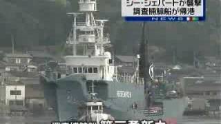 Japanese whaling vessel which were attacked by Sea Shepherd returns harbor [upl. by Ylek942]