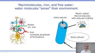 ISMRM MR Academy  Magnetization Transfer amp T1 Contrast Mechanisms Sensing amp Quantifying [upl. by Arretal]