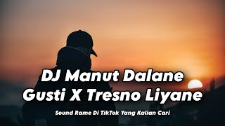 DJ Manut Dalane Gusti X Tresno Liyane  Slowed amp Reverb  SOUND RAME DI TIKTOK [upl. by Ilera]