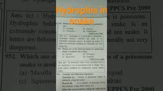 hydrophis in snake [upl. by Hibbert]