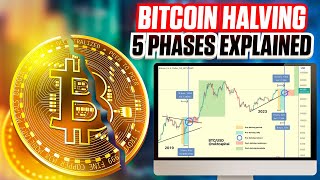 5 Phases of the Bitcoin Halving  Updated Ultimate Guide For 2024 [upl. by Chloris]