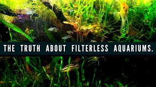 Creating A FILTERLESS AQUARIUM Using Anoxic AND Aerobic Bacteria How to Setup A Natural Fish Tank [upl. by Uile]