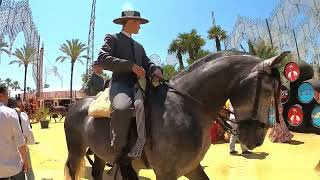 Feria Jerez De La Frontera 2022 [upl. by Einor]