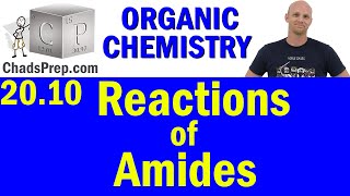 2010 Synthesis and Reactions of Amides  Organic Chemistry [upl. by Koss]