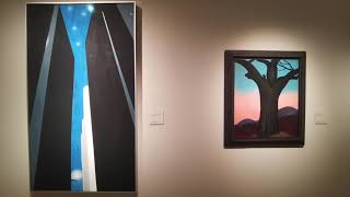 Georgia O´Keeffe in Thyssen Madrid [upl. by Gilbertine]