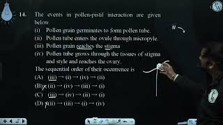 The events in pollenpistil interaction are given below i Pollen grain germi [upl. by Fauch731]