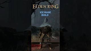 Frigid Mage Build in 60 seconds gaming eldenring eldenringbuilds shorts [upl. by Onilecram]