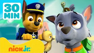 Psi Patrol  Kiedy zwierzęta przejmują wieżę obserwacyjną  30 minut  Nick Jr Polska [upl. by Brina]