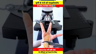 Chicken feet🐾पंजा undar the microscope।meat view facts shortvideo shorts short shortsvideo [upl. by Whitney]