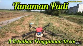 Kelebihan Penggunaan Drone Dalam Proses Penanaman Padi Teknologi Pertanian Moden [upl. by Eziechiele]