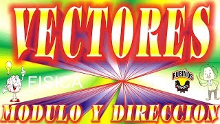 Qué es un Vector  su Módulo y Dirección  Física Ejercicios Resueltos [upl. by Allemat899]