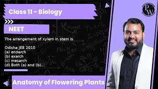 The arrangement of xylem in stem is Odisha JEE 2010 a endarch b exarch c mesarch d Both [upl. by Parrott565]