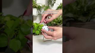 DIY selfwatering pot easy plant hack 🍃 indoorplants houseplants planthacks wateringplants [upl. by Aiht]