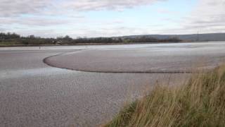 Severn Bore [upl. by Amr]