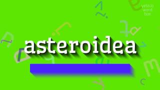 ASTEROIDEA  HOW TO PRONOUNCE IT [upl. by Eenej392]