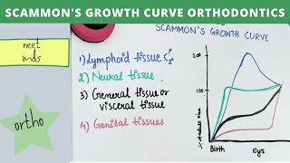 scammons growth curve orthodontics [upl. by Hy]