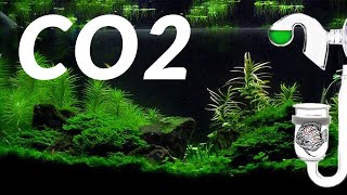 Aquarium CO2  Verwen je aquariumplanten  Complete CO2 uitleg  Aquarium Sunshines Valley [upl. by Llednar]