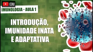 Sistema Imunológico IMUNIDADE ADAPTATIVA RESUMIDA │ Imunologia [upl. by Holly]