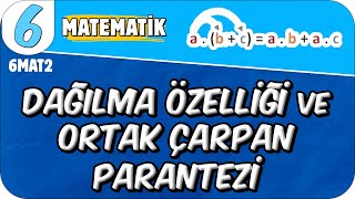 Dağılma Özelliği ve Ortak Çarpan Parantezi 📘 6MAT2 2025 [upl. by Neelrahc]