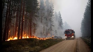 HITZE Schweden ist der jüngste Beweis für den Klimawandel [upl. by Aecila147]