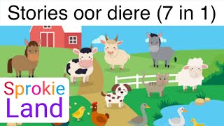 🐢Stories oor diere  Afrikaanse kinder stories  kinderstories  peuter stories slaaptyd stories [upl. by Baptist]