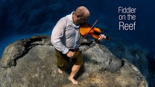 🎻 Fiddler on the Reef 🎻 [upl. by Engen]