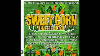 110 Sweet Corn Riddim Mix Full Gappy Ranks Voicemail Wayne Wonder Lutan Fyah Daville ETC [upl. by Dillie]