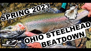 OHIO STEELHEAD BEATDOWN Spring Fly Fishing for Steelhead [upl. by Demeter]