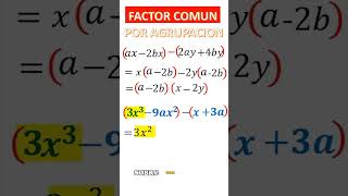 factor común por agrupación de terminos part2 mathace shorts matematica pitágoras [upl. by Cowey]