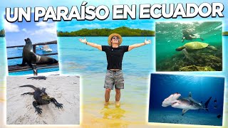 🐢 LA GUIA para VIAJAR a las ISLAS GALÁPAGOS 2022 🦎 Con todos los costos 💰💰💰 [upl. by Noizneb]