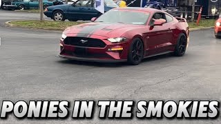 Ponies in the Smokies 2024 Shine Run Meet part 1 shorts viral fyp mustang ford [upl. by Naillimixam770]