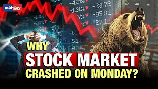 Stock market crash Whats the reason behind the stock market crash today Expert explains [upl. by Johann]