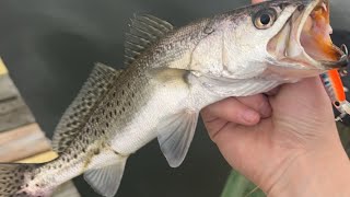 Pascagoula fishing [upl. by Ahilam]