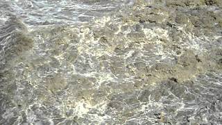 Irene flooding Hubbard Falls Dam Winooski River [upl. by Neret803]