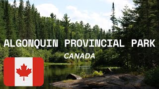 ALGONQUIN PROVINCIAL PARK CANADAS NATURAL GEM  Things To Do And Guide  CANADA TRAVEL algonquin [upl. by Eem]