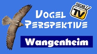 Vogelperspektive 12 Wangenheim [upl. by Nee]