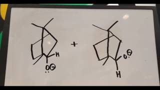 reduction of camphor to borneol and isoborneol v2 [upl. by Enisamoht]