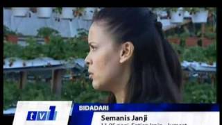 Drama Semanis Janji di TV1  promo 2010 [upl. by Cirri]