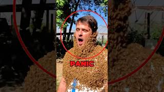 Bees Swarm On Face 😱 [upl. by Almat142]