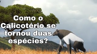 A Evolução Paralela no Chalicotherium Calicotério AULA 07 [upl. by Livingstone899]