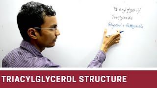 Structure of Triacylglycerol  Triglyceride [upl. by Odnomra]