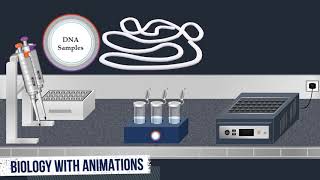 Southern Blot Method  Animated Video [upl. by Neelahs3]