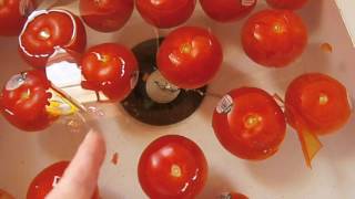 How to safely can tomatoes  pressure canning [upl. by Rutter]