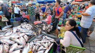 Top Fish Market Distribution Site  Tons of Lively Fish Are Distributed Daily amp Vendors Life [upl. by Hashimoto]