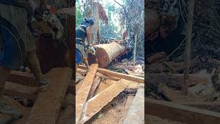 Kayu Merbau woodworking [upl. by Oiram486]